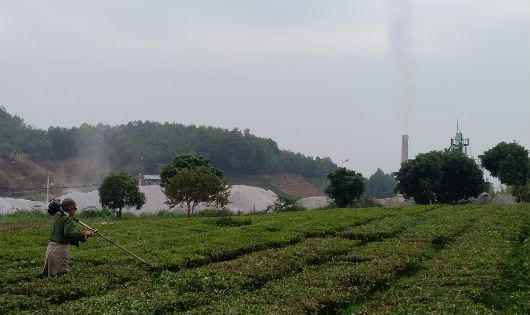 Tuyên Quang: Mỏ đá Hiệp Phú khai thác đá gây ô nhiễm môi trường