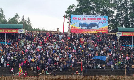 Phú Thọ giải “bài toán” chọi trâu, cướp phết