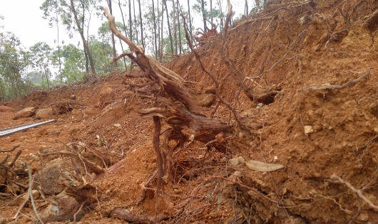 Phú Thọ: Xe gắn lô gô LHQ ngang nhiên chở đất khai thác trái phép giáp Đền Hùng 