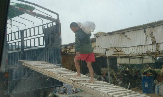 Tiếp bài khai thác “vàng trắng” ở Phú Thọ: Ai “bảo kê”cho cơ sở chế biến cao lanh?