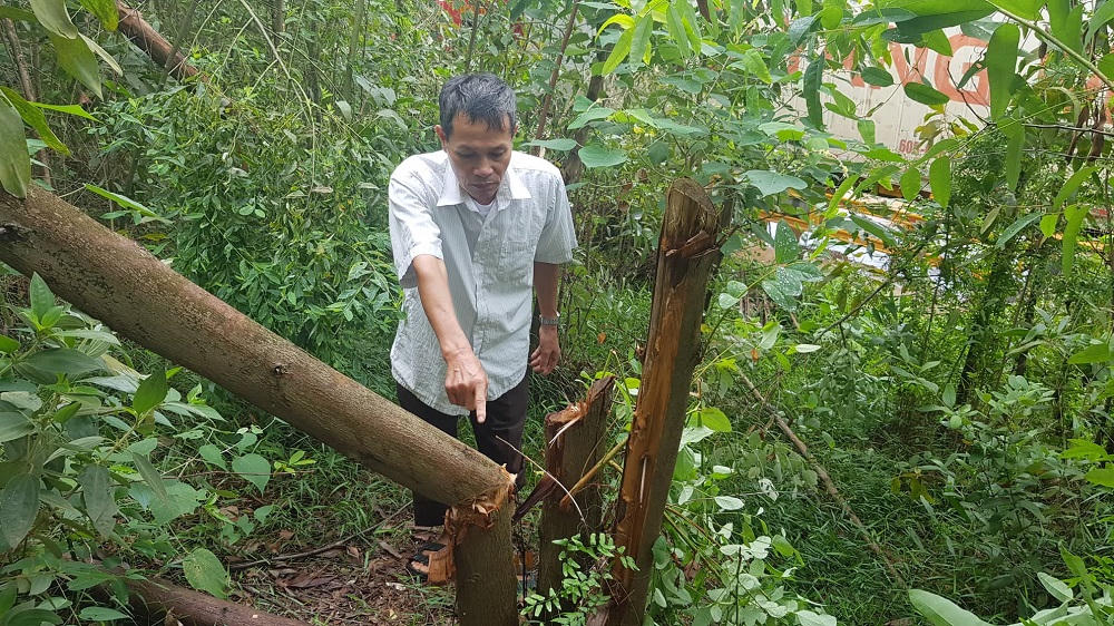 Vĩnh Phúc: Công ty Á Mỹ sản xuất gạch “bức tử” cuộc sống người dân