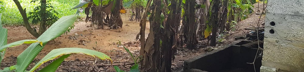 Vĩnh Phúc: Công ty Á Mỹ sản xuất gạch “bức tử” cuộc sống người dân