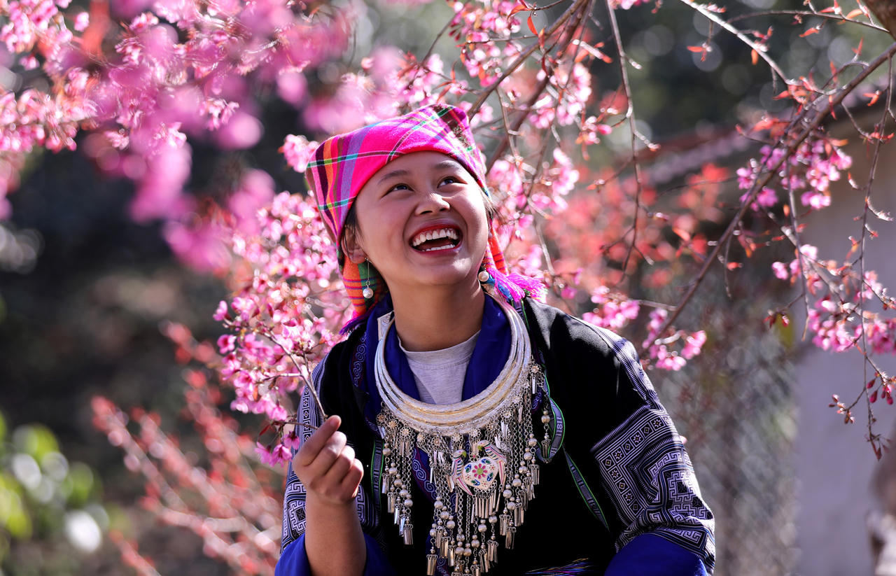 Rộn rã sắc hoa Tớ dày miền sơn cước Mù Cang Chải