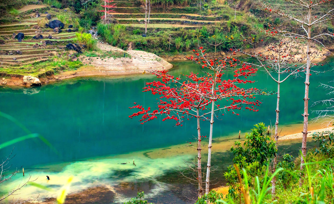 Sắc hoa tháng 3 trên cao nguyên đá