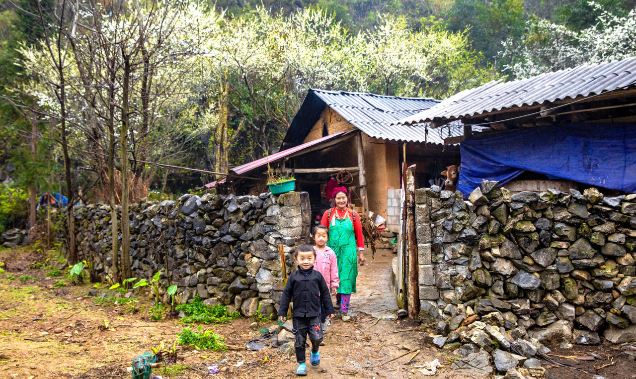 Sắc hoa tháng 3 trên cao nguyên đá