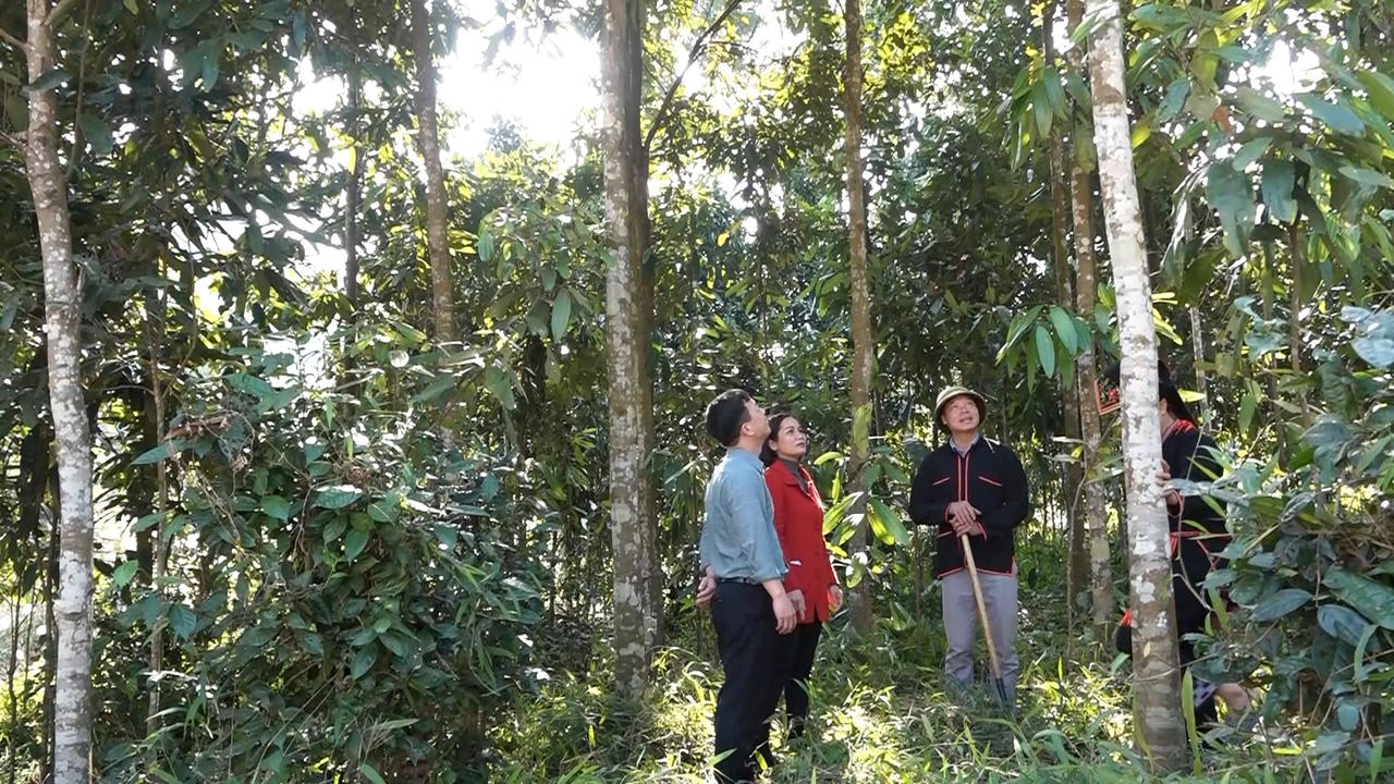 Yên Bái: Được “tiếp sức” vốn tín dụng, người dân tộc thiểu số vươn lên thoát nghèo, làm giàu mạnh mẽ