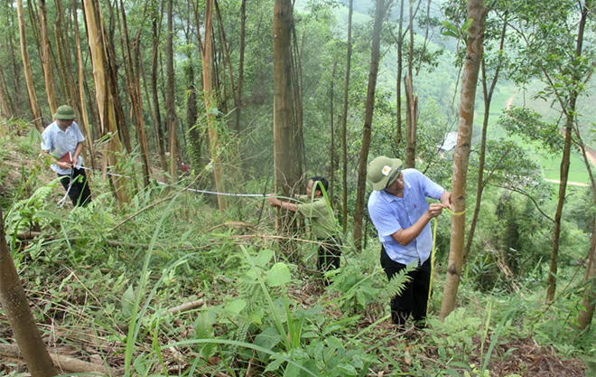 Chính sách dịch vụ môi trường rừng giúp đồng bào dân tộc thiểu số bám bản, thoát nghèo, phát triển rừng bền vững