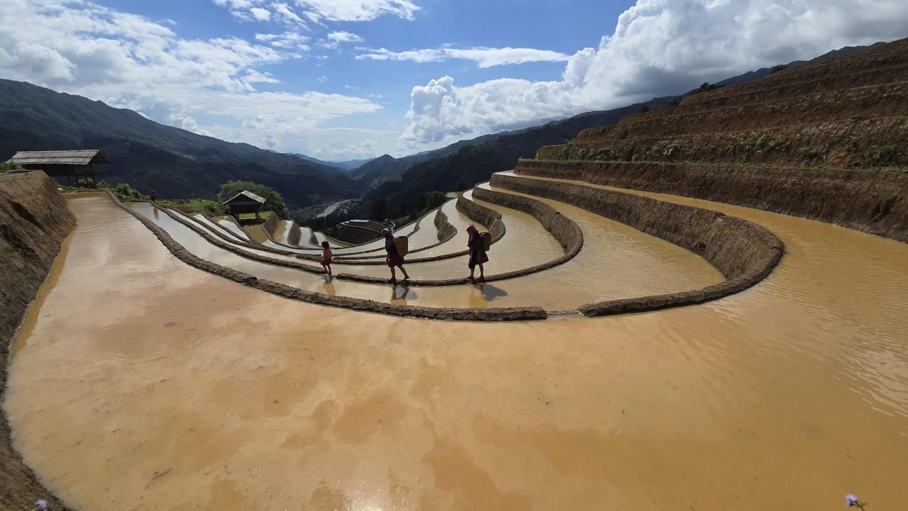 Sức hút từ thửa ruộng bậc thang mùa nước đổ ở Mù Cang Chải