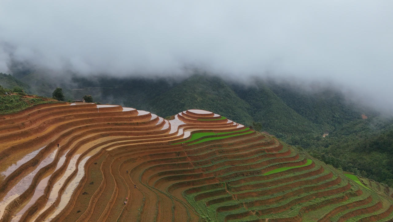 Sức hút từ thửa ruộng bậc thang mùa nước đổ ở Mù Cang Chải