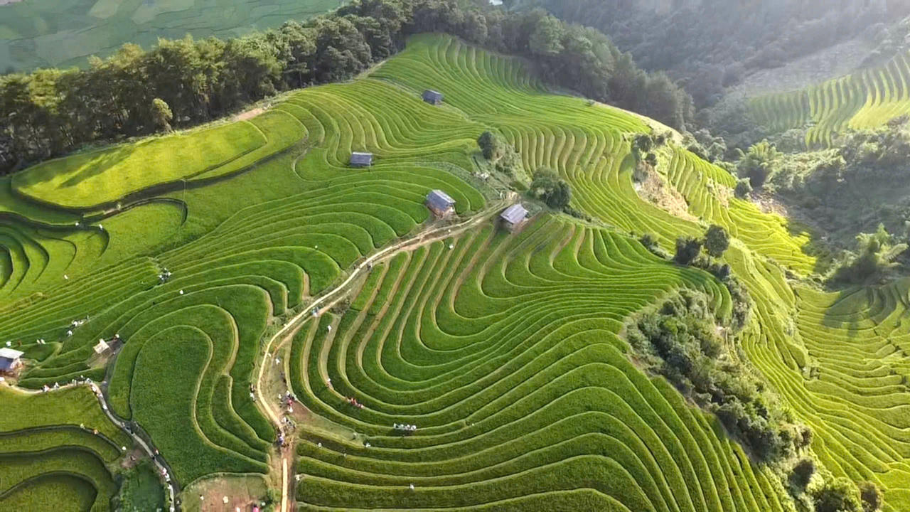 Cờ tổ quốc vút bay trên miền danh thắng Mù Cang Chải