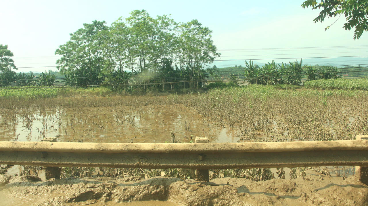 Lũ rút, người dân Yên Bái tất bật tái thiết cuộc sống 