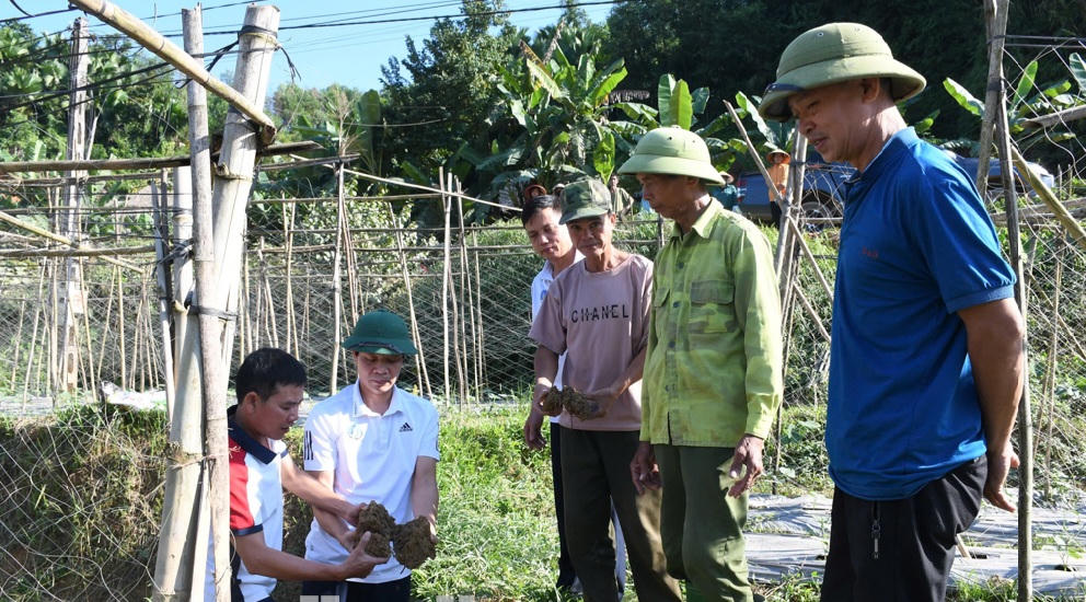 Xác định nguyên nhân khiến giun chui lên mặt đất tại Tuyên Quang