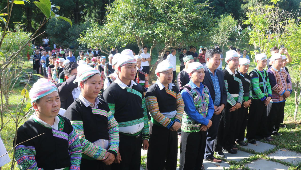 Tôn vinh cây trà tổ 400 tuổi ở Suối Giàng