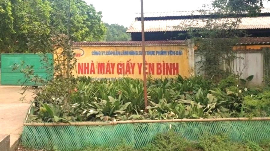 Bị xe nâng lùi trúng, nữ công nhân nhà máy giấy tử vong