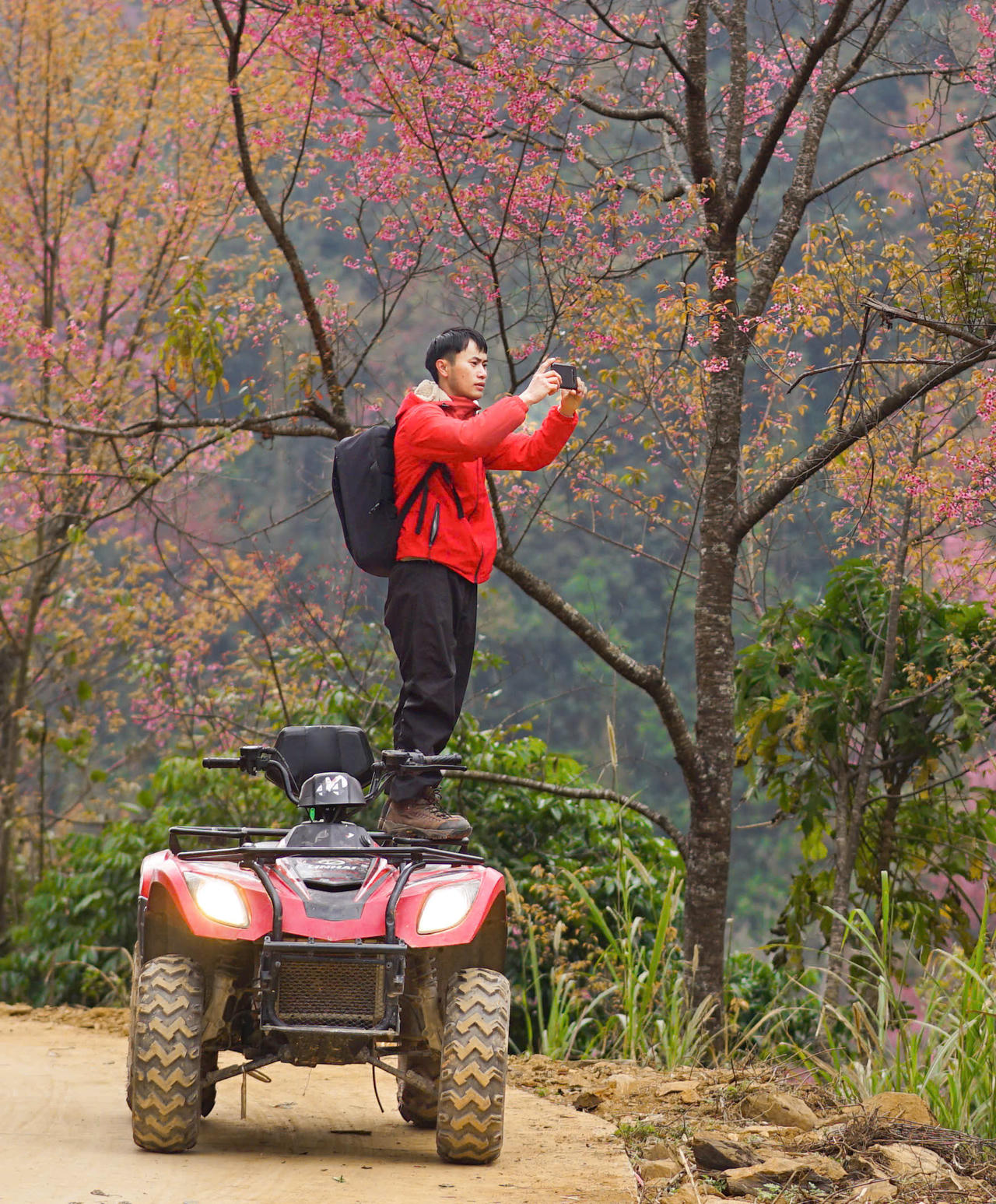 Rực rỡ sắc hoa Tớ dày trên non cao Mù Cang Chải