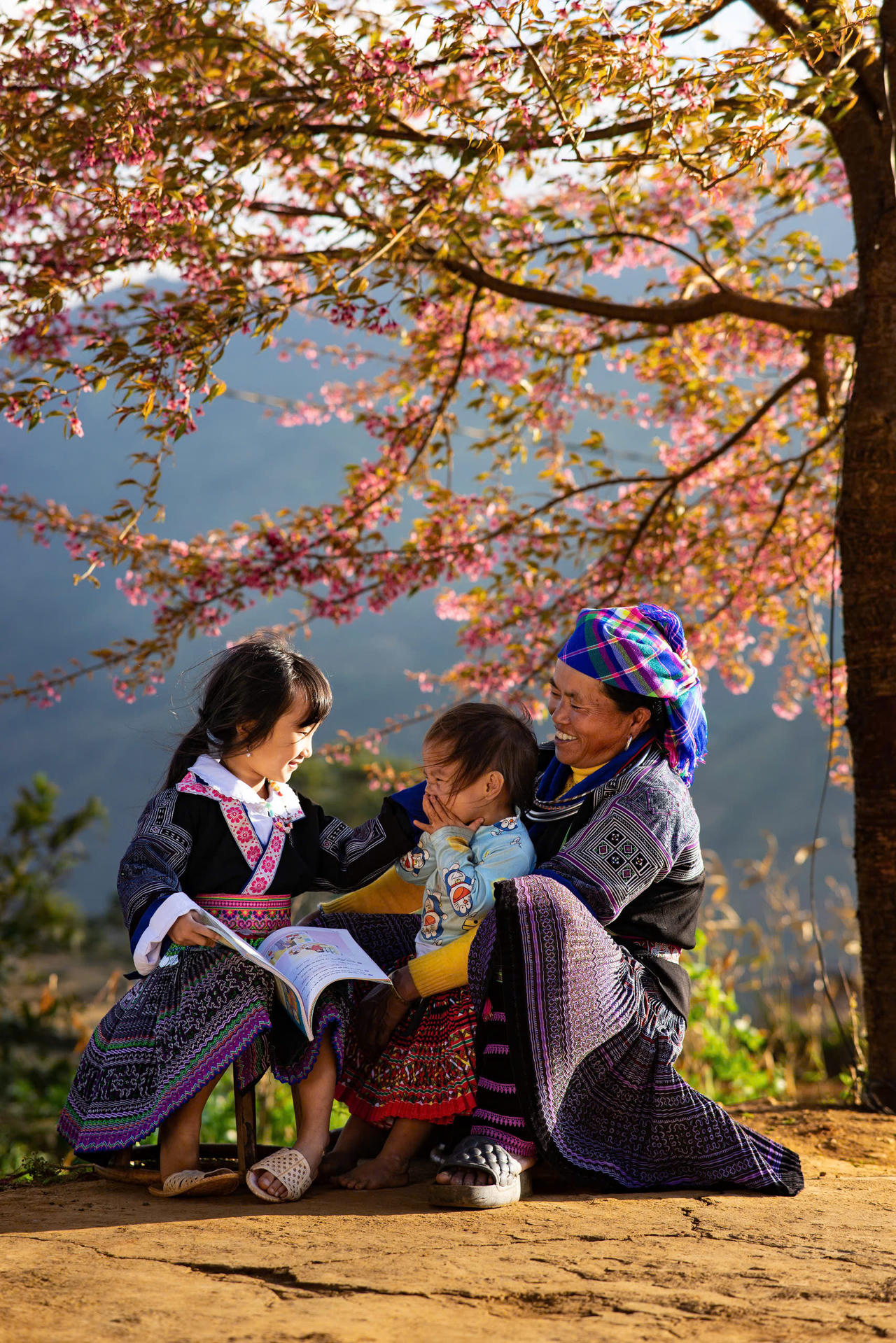 Rực rỡ sắc hoa Tớ dày trên non cao Mù Cang Chải