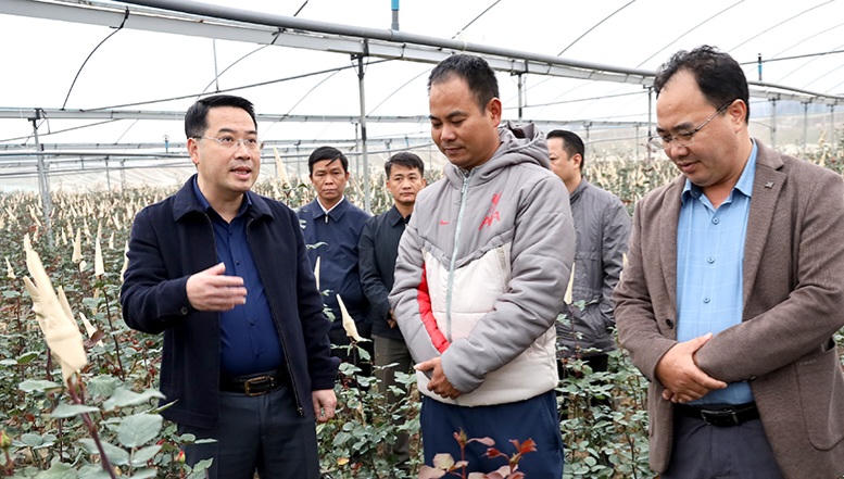 Yên Bái lập 3 tổ gỡ vướng công tác thu ngân sách 2025