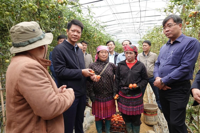 Tỉnh miền núi Yên Bái thay da đổi thịt, giảm nghèo bền vững nhờ chính sách lớn