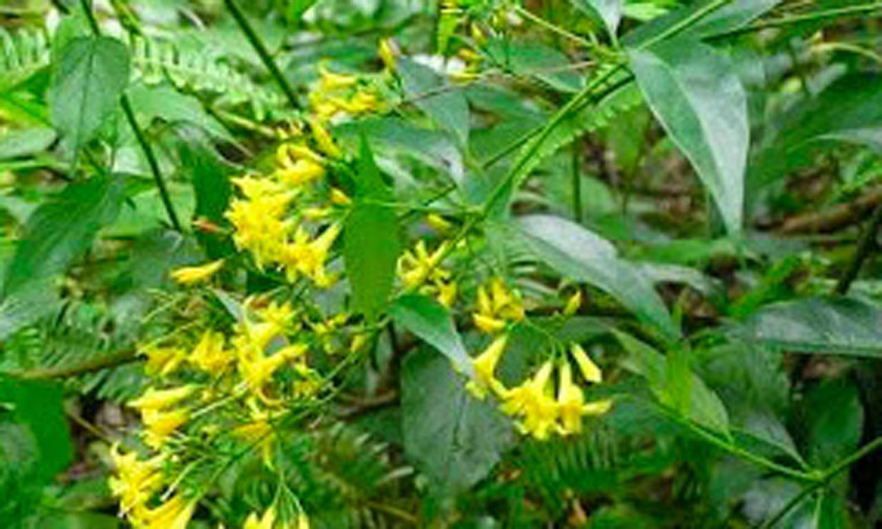  Cãi nhau với vợ, người chồng trẻ tự tử