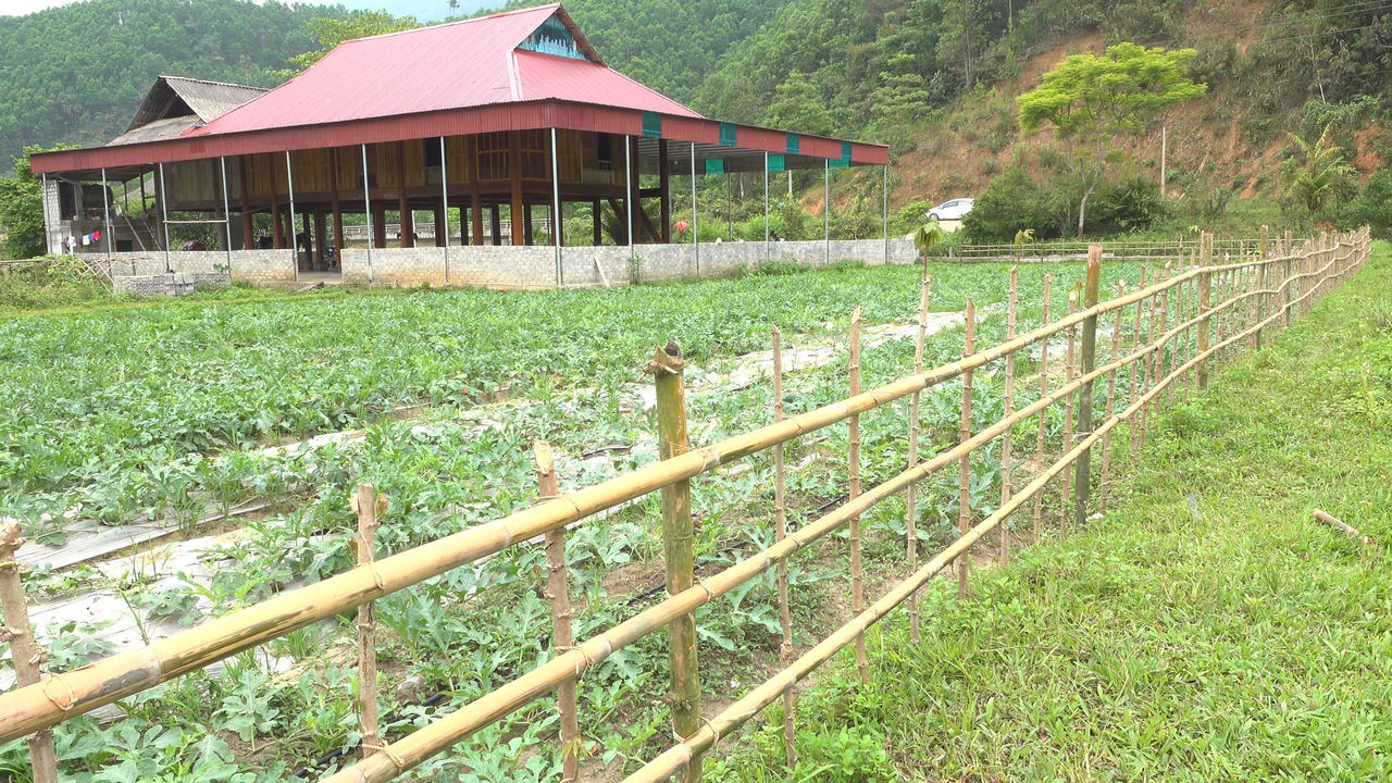 Huyện biên giới Quế Phong (Nghệ An): Xoá đói, giảm nghèo cho đồng bào dân tộc thiểu số nhờ tiếp cận nhiều chính sách