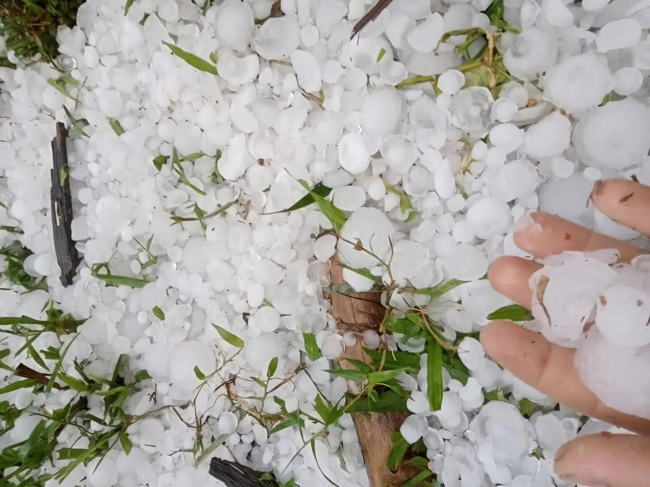 Lốc xoáy kèm mưa đá tàn phá bản làng huyện miền núi Nghệ An