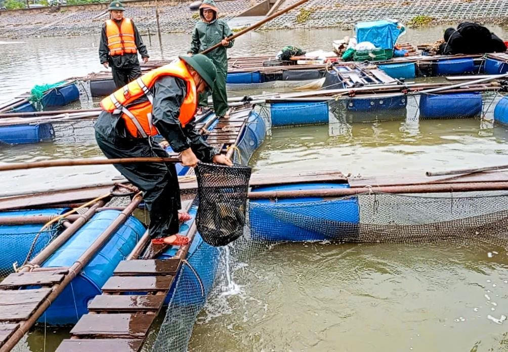 Người dân Nghệ An chủ động ứng phó bão số 3