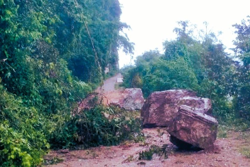 Cây lớn gãy đổ đè trúng người dân đi đường