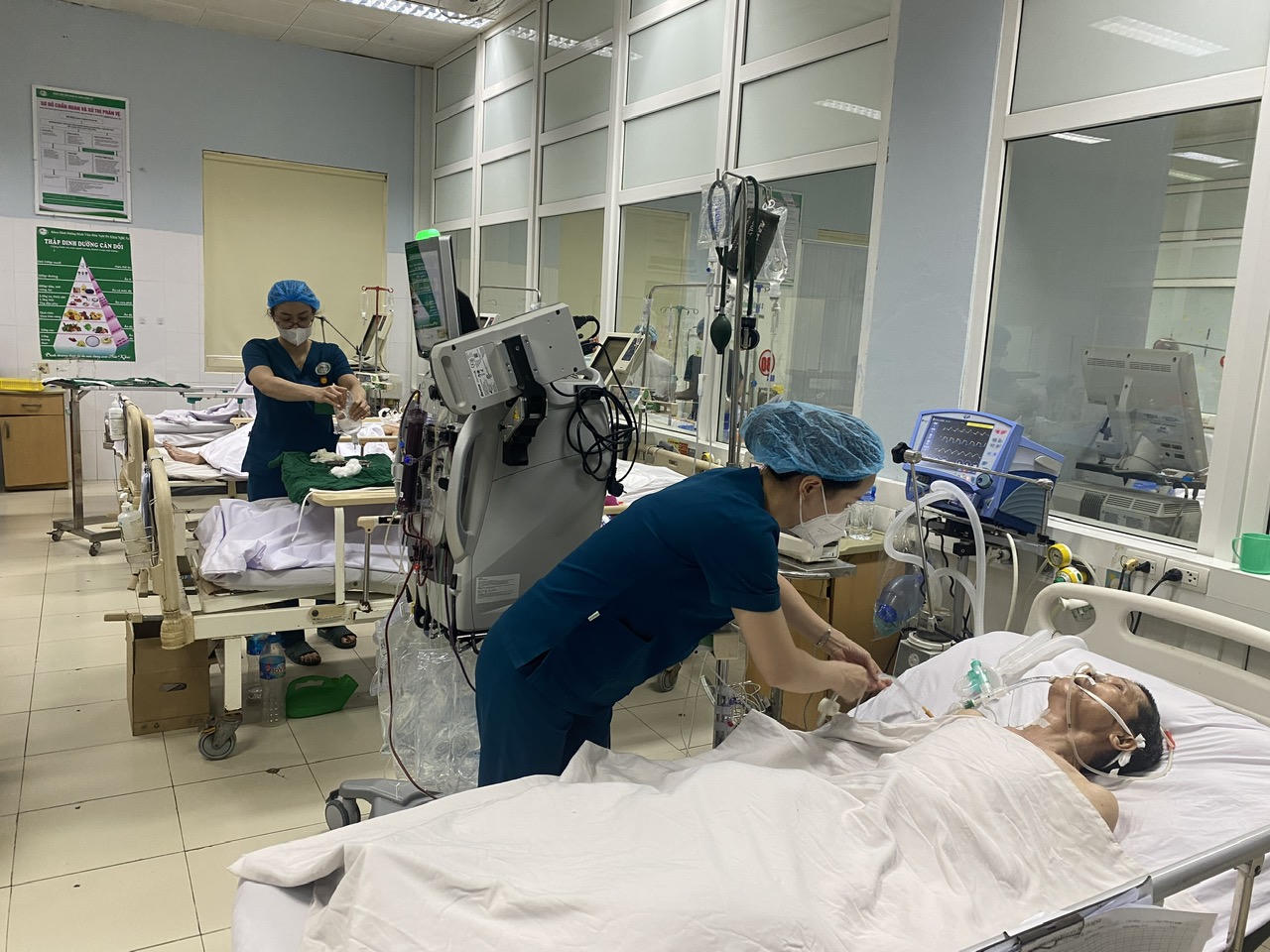 Những 'bóng hồng' mang sứ mệnh đặc biệt