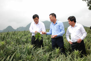 2 nút thắt, 3 khâu đột phá của ngành nông nghiệp trong năm 2018