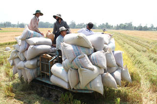 Ngành Nông Nghiệp nâng chỉ tiêu tăng trưởng trong năm nay 