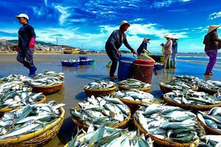 VASEP là thành viên chính thức đàm phán xóa bỏ “thẻ vàng”