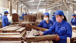 Lâm sản xuất siêu ấn tượng