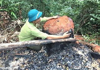 Quản lý đất nông, lâm trường: Không đủ người, một cán bộ phải “quản” trung bình 500 ha