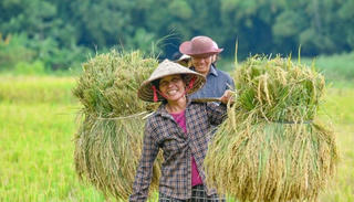 Những quy định mới về hỗ trợ bảo hiểm mà người làm nông nghiệp cần biết