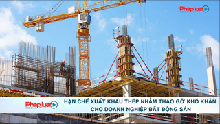 Hạn chế xuất khẩu thép nhằm tháo gỡ khó khăn cho doanh nghiệp bất động 