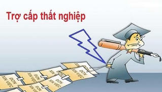 Có được hưởng trợ cấp thất nghiệp trong thời gian thử việc mới không?
