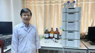 Chiết xuất Caryotin từ cây Đủng đỉnh hỗ trợ điều trị bệnh xương khớp