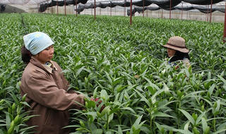 9h30 sáng nay  (26/12), Giao lưu trực tuyến: “BHXH tự nguyện – đóng góp khi trẻ, an hưởng về già”