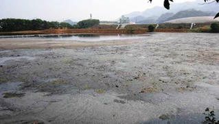 Xả khí thải độc hại trực tiếp vào nguồn nước có thể bị phạt tới 500 triệu đồng