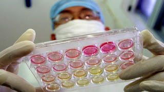 Virus corona có thể đã lây lan trên người nhiều thập kỉ trước khi được phát hiện ở Vũ Hán