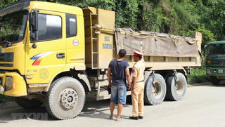 Truy tố 5 cán bộ thanh tra giao thông bảo kê logo ''xe vua'' ở Hà Nội