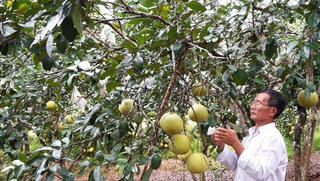 Bước ngoặt về hiệu quả tín dụng chính sách ở Tuyên Hóa