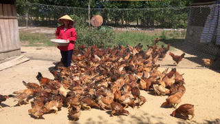 “Trợ lực” thiết thực cho hộ cận nghèo ở Tuyên Hóa