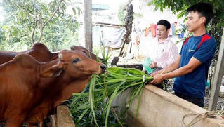 Dấu ấn NHCSXH Phú Thọ trong từng chặng đường giúp dân giảm nghèo