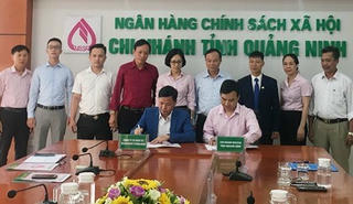 75 doanh nghiệp đã được vay vốn trả lương lao động ngừng việc