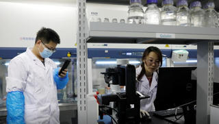 Các nhà khoa học Trung Quốc tìm được cách trì hoãn quá trình lão hóa