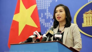 Phản ứng của Việt Nam về việc Trung Quốc thông qua Luật Cảnh sát biển