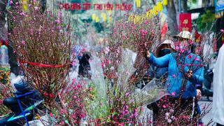 Nhiều địa phương tạm dừng tổ chức các lễ hội đầu Xuân để phòng dịch