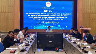 7 doanh nghiệp nhà nước 'tỷ USD' được đề xuất làm 'chim đầu đàn'