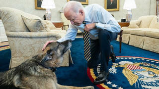 Vợ chồng tổng thống Biden bày tỏ tình yêu với "Đệ nhất cảnh khuyển" vừa chết